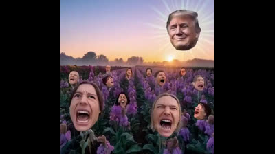 ¡ Los woke De la PERVERSIÓN en el momento de la vuelta de Donald Trump !