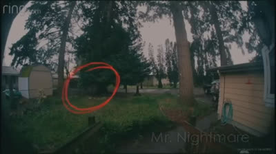 Disturbing videos from ring-doorbell cameras.