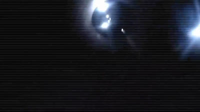 Encuentros escalofriantes captados