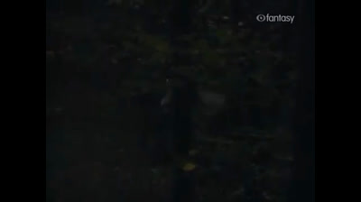 I Racconti del Mistero  -  La caduta della casa Husher [da E.A. Poe]