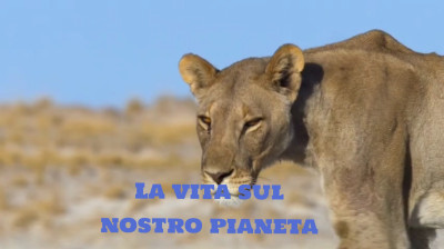 La vita sul nostro pianeta