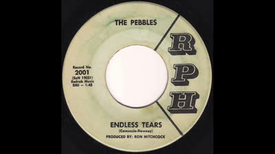 Pebbles (1965) - Endless Tears / Vicky