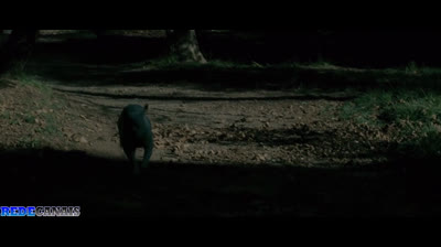 Numero 23- 2007 Dublado Logan