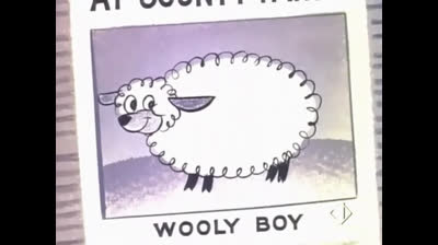 Ernesto Sparalesto 06