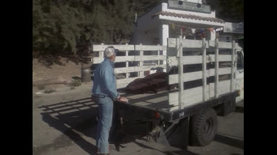 La donna bionica 3x02 Max cane bionico parte 2.