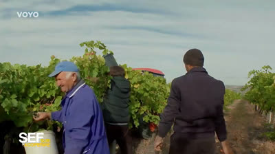 Sef sub acoperire sezonul 4 episodul 1 HD